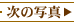 ̎ʐ^