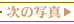 ̎ʐ^