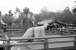 宝泉寺の舞楽写真