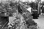植木市写真