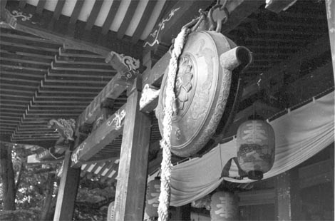 �T������ʐ^