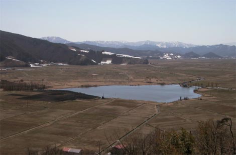 ��z�s�̔����Ύʐ^