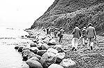 飛島(法木)写真