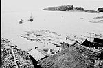飛島写真